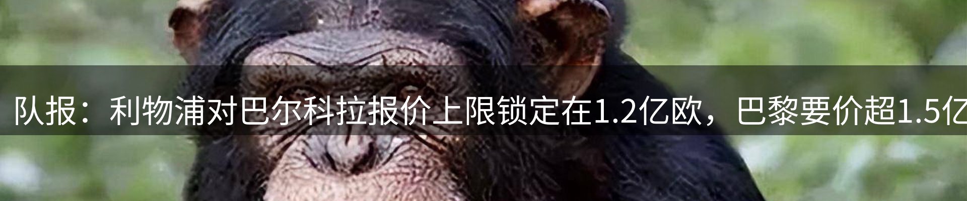 网站资讯